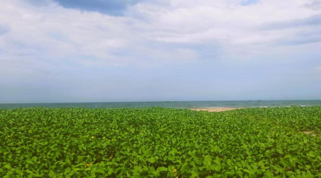 Chan Beach Resort Bahur Bagian luar foto